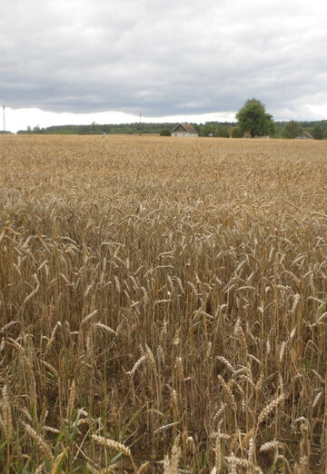 Natali (@natalya135228) — my photo № 2