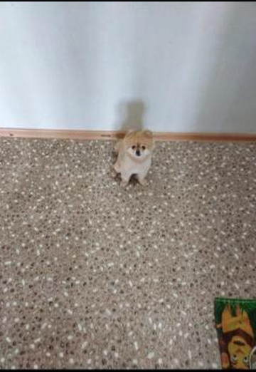 Nadejda Molchanova (@nadejdamolchanova0) — my photo № 1