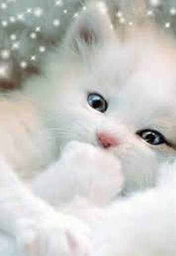 Nastya (@nastya55951) — my photo № 1