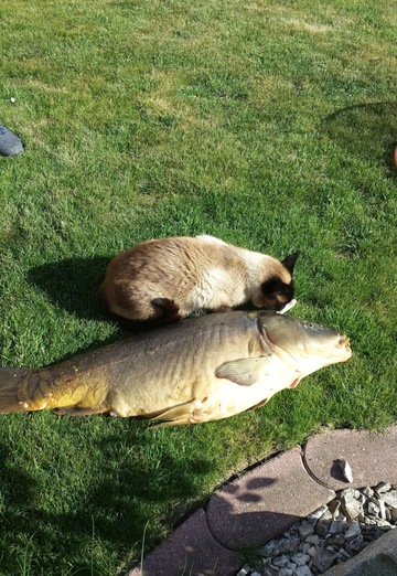 Yeduard (@eduard38927) — my photo № 4