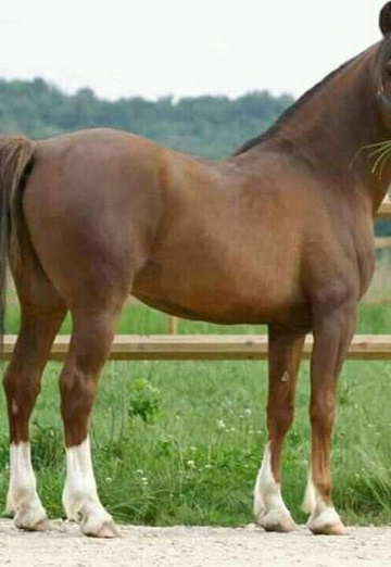 موجب جاد (@q4ba5t6me2) — my photo № 1