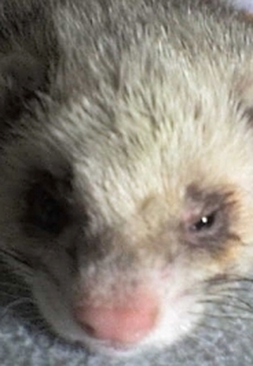 Nafanya (@nafanya013) — my photo № 9