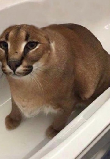 PARANOIA (@paranoia26) — my photo № 1