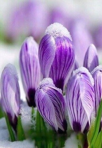 ----------- (@q1p246dvax) — my photo № 1
