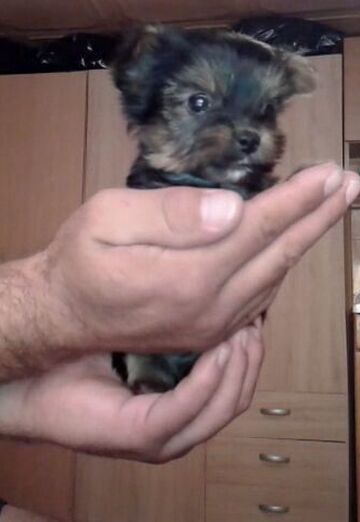 petar (@petar137) — my photo № 15