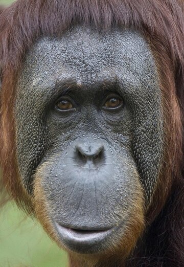 Yedik (@edik5155) — my photo № 1