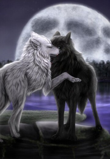 pka (@pka15) — my photo № 16