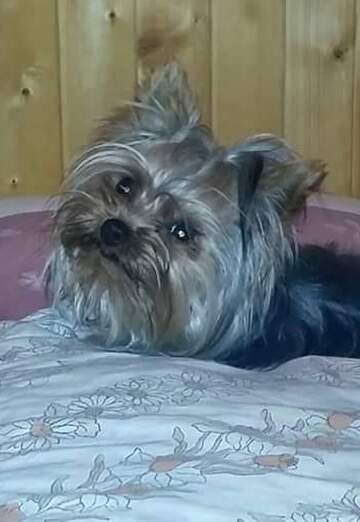 petar (@petar137) — my photo № 36