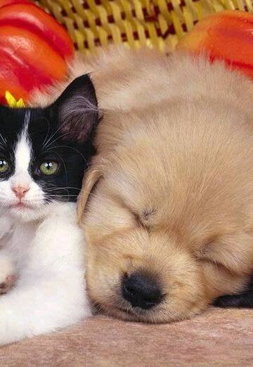 Pasha (@pasha25658) — my photo № 1