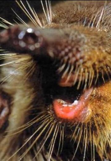 Sofi (@nastya38237) — my photo № 3