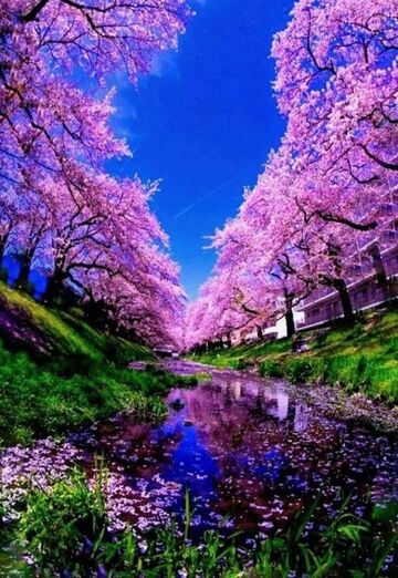 رامي (@n163r52ptl) — my photo № 2