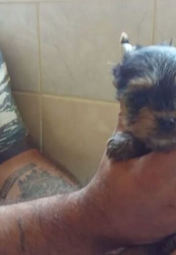 petar (@petar137) — my photo № 14