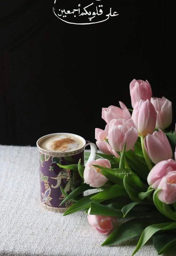 اخوةبالله (@qkte7nsd2o) — my photo № 1