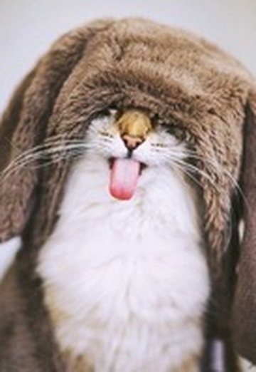 Natalіya (@natalya150229) — my photo № 1