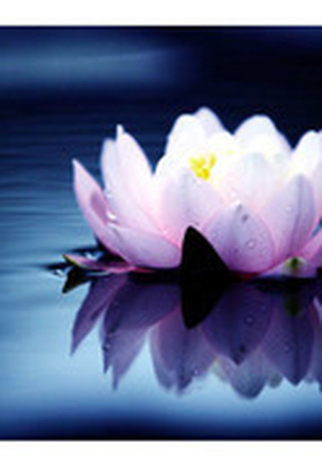 Nit (@nelli2545) — my photo № 7