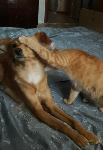 Nadejda (@nadejda58594) — my photo № 2