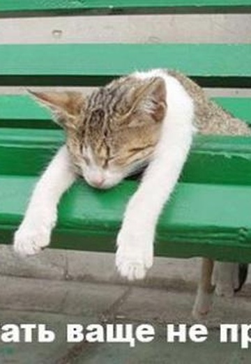 Arman (@paren238) — my photo № 1