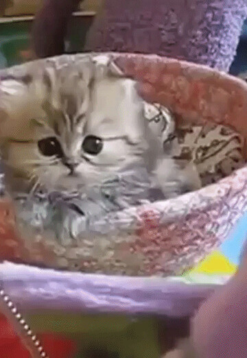 natalya (@natalya147779) — my photo № 1