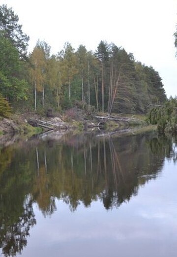 Elena (@elena130979) — my photo № 8