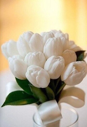 Nit (@nelli2545) — my photo № 3