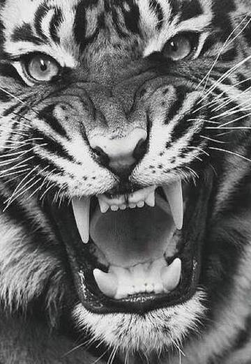 Nazim Cafarli (@nazimcafarli) — my photo № 1