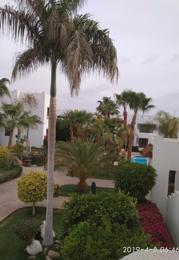 Natalya (@natalya217789) — my photo № 12