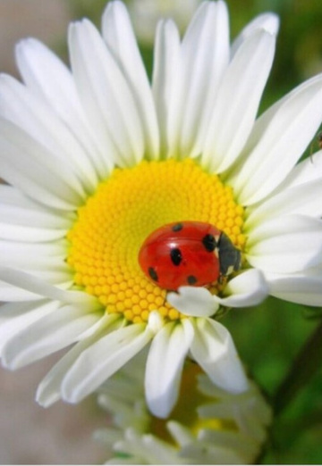 Nataliya (@nataliya62783) — my photo № 1