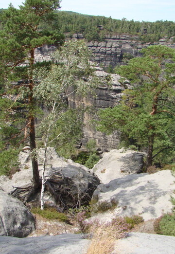 Petr (@petr38227) — my photo № 6