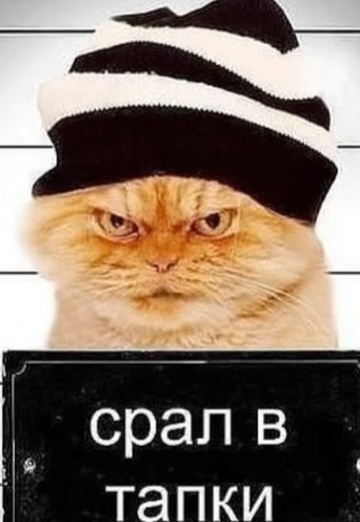 Vasiliy Pupkin (@pupkin158) — my photo № 1