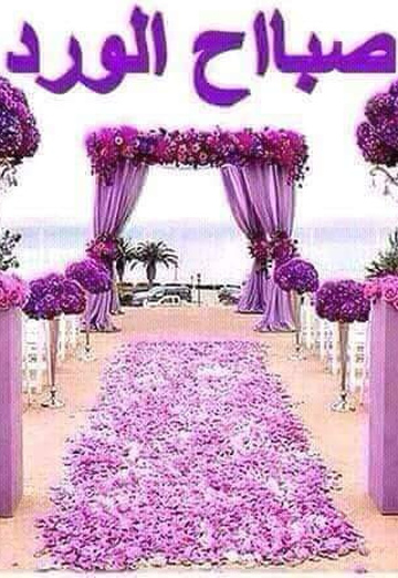 مازن (@qvgoxi86nj) — my photo № 1