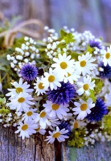 Natalya (@natalya177499) — my photo № 1