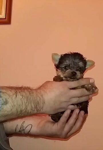 petar (@petar137) — my photo № 11