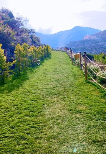 نعناع (@087auo224o) — my photo № 1