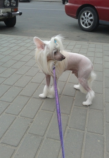 Nadejda (@nadejda27990) — my photo № 14