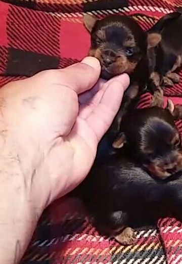 petar (@petar137) — my photo № 17