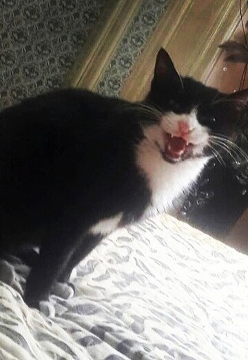 Natalya Bragina (@natalyabragina) — my photo № 2