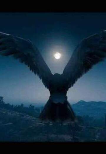 محمد رجب (@q66y0gyjex) — my photo № 1