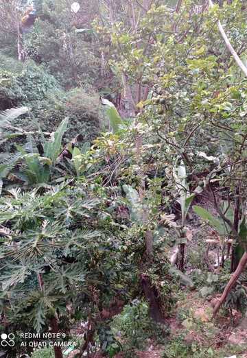 Nelson (@nelson957) — my photo № 2