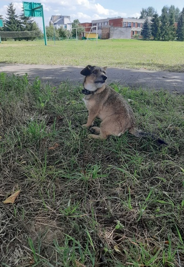 Nadya (@nadya19467) — my photo № 2