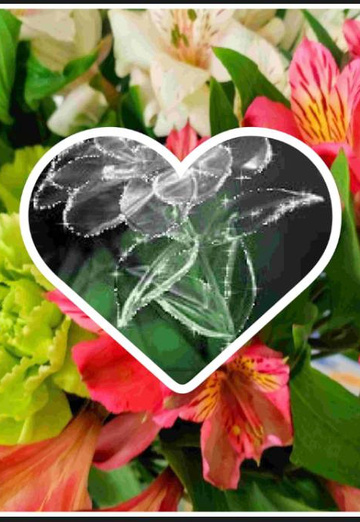 Nader Alolwa (@naderalolwa) — my photo № 3